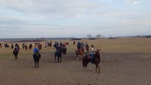 Ростов улак Доку Балбан