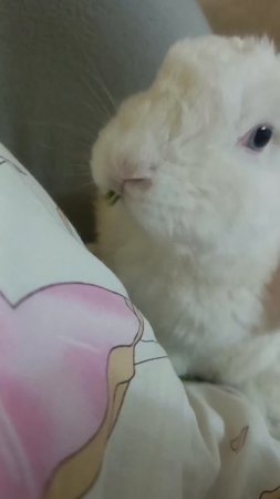 ну вот,а то..☺️