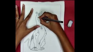 How to Draw a SCOOBY DOO From Scratch?? Easy Drawing / Step by Step for beginners.