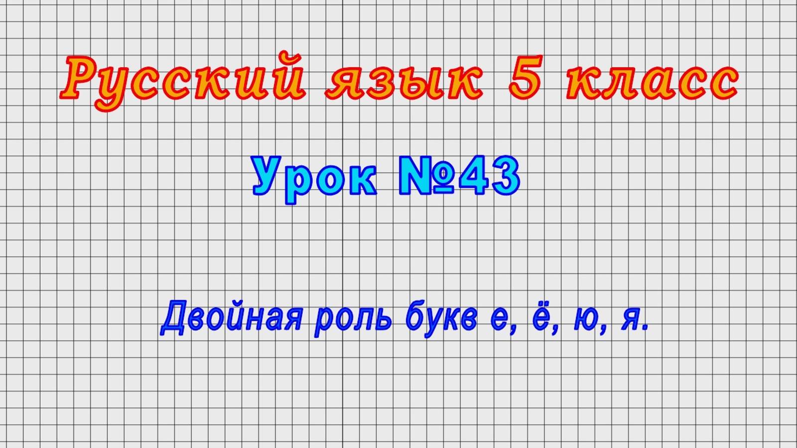 Русский язык 5 класс (Урок№43 - Двойная роль букв е, ё, ю, я.)