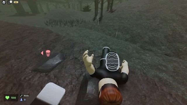 Бегаем от картинок и угараем! | ROBLOX