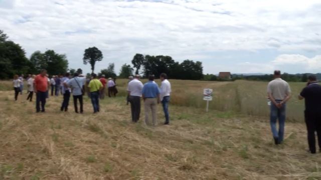 Infakt 15062016 Dani polja strmih zita смотреть онлайн