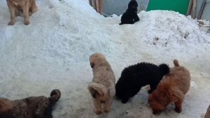 video_20190323_172031