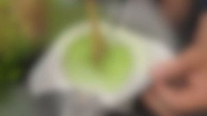 Besser als Botox! 🔥Meine Großmutter sieht mit 65 wie 35 aus. Das beste Kollagen aus Petersilie