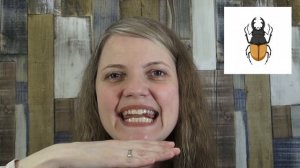 УПРАЖНЕНИЕ №10 «ЖУК». Артикуляционная гимнастика с логопедом.