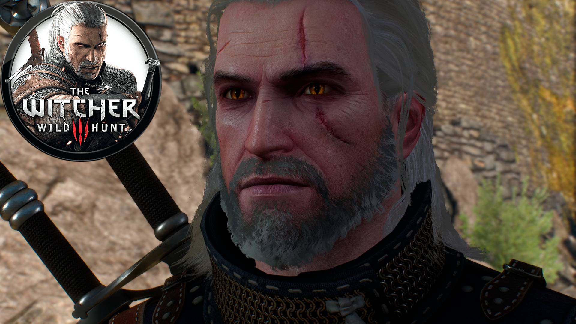 Ведьмак 3 без интерфейса - заказ #2 - неуловимый вор