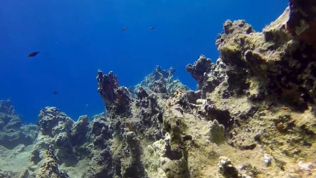 Diving The Med 2015