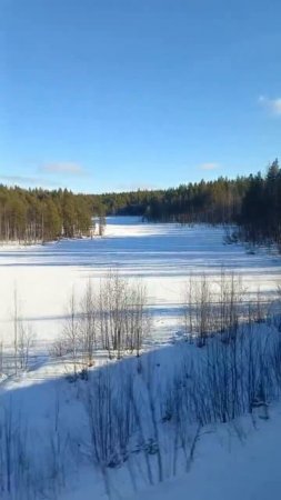 07.03.2025 г., ПТ_Утро и день в поезде, по пути в Апатиты