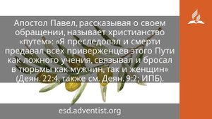 25 января 2025. Путь жизни. Под сенью благодати | Адвентисты