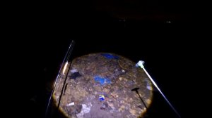 Рыбалка на ночного Судака. Краткий отчёт. Москва - Река.