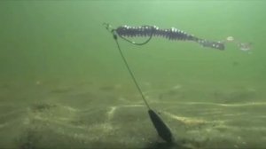 Что такое Чупа-чупс? 

И как им ловить.....