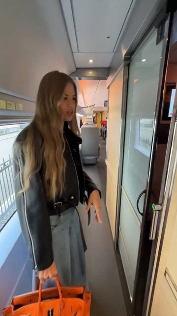 Самый дорогой билет на Сапсан! смотреть онлайн