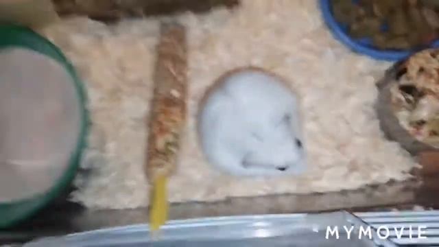 КАРАНТИН || КУЧА ПОКУПОК || УБОРКА И ОБСТАНОВКА