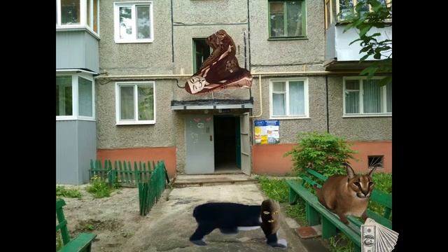 1 серия (начало) кровавый жираф смотреть онлайн