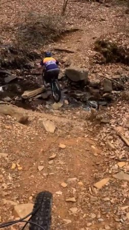 Seth the MASTER of MTB saves!