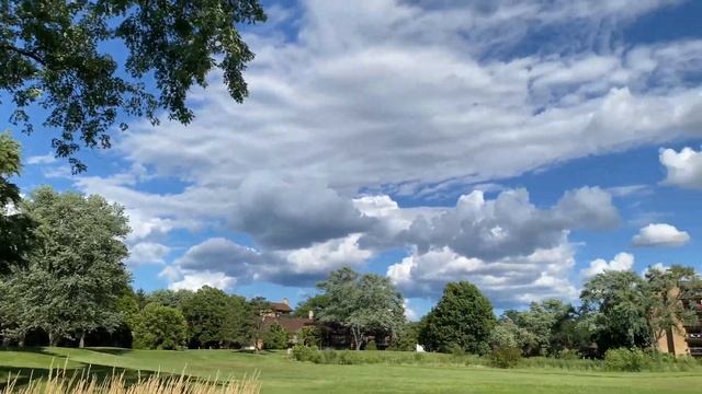 Summer breezes-blowing tall grass-flowers-cumulus clouds blue sky July 29 2022 Northbrook, Illinois