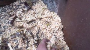 Щепорез из фуганка.