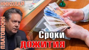 Николай Платошкин: почему в России низкие пенсии?