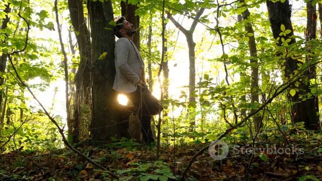 Волшебная ночь: Зимняя сказка смотреть онлайн