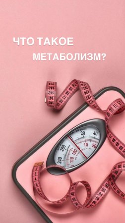 Что такое метаболизм?