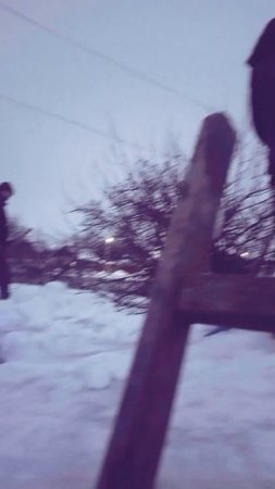 scene_output.mp4