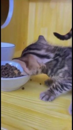 Очень вкусно)))