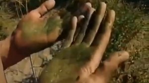 Чуйская долина