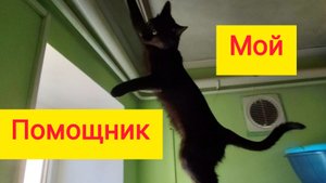 Переезд на ЮГ/Ремонт/Гардеробной быть? /Домашний ВЛОГ/Вешаю новые ШТОРЫ/Мотивация на ГЛАЖКУ БЕЛЬЯ/