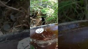 Нашол Изоляторы  ШФ 35 Б у ВЛ 35 КВ