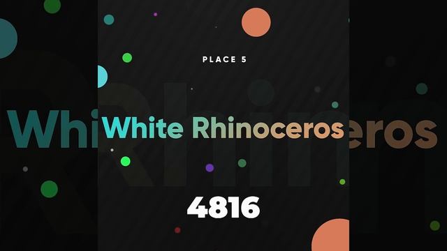 These Are 10 Heaviest Animals On This Planet смотреть онлайн