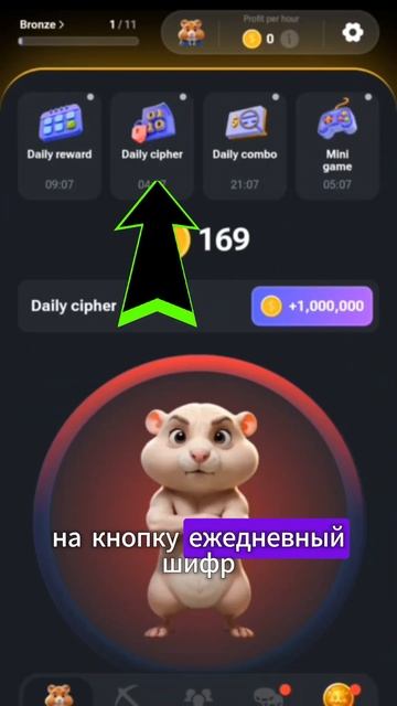 Секретный код в Хомяке на 31 июля | шифр в хамстере 31.07 смотреть онлайн