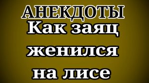 АНЕКДОТЫ КАК ЗАЯЦ ЖЕНИЛСЯ НА ЛИСЕ😍