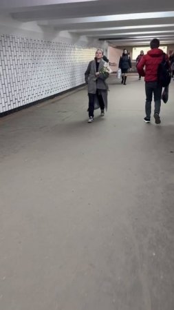 Тюльпаны