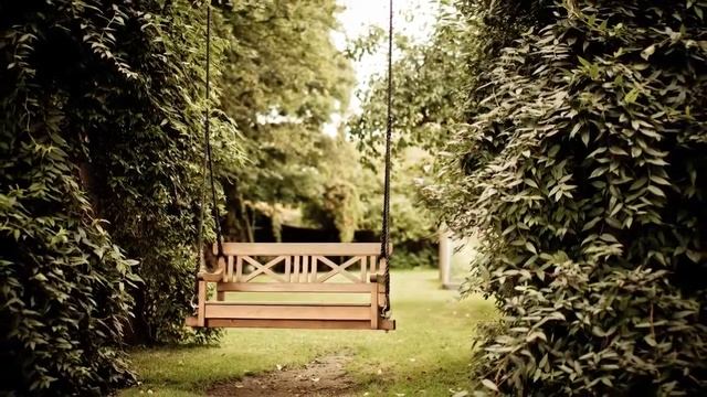 Эстетичные растения и цветы смотреть онлайн