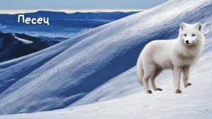 Животные Арктики и Антарктики | Изучаем животных | Звуки животных