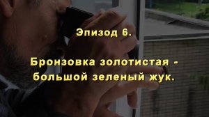 Эпизод-06 Бронзовка