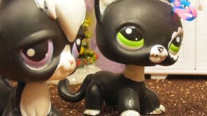 LPS: ДВОЙНЯШКИ 1 серия