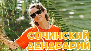 #12 | СОЧИНСКИЙ ДЕНДРАРИЙ