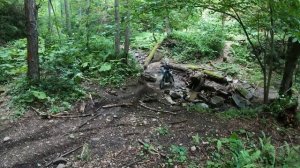 Никитино июнь 24