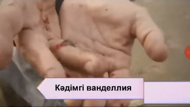 Акула туралы мəліметер смотреть онлайн