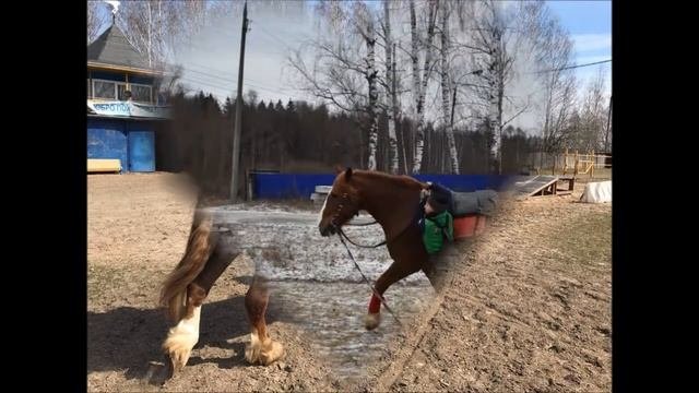 |КСК 