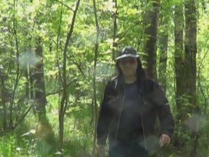 Борис Купчин-Неожиданный Лес(песня БК-верс1)