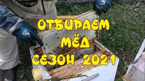 ОТБИРАЕМ МЁД  СЕЗОН 2021