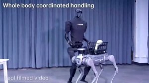 Роботы-гуманоиды от компании Unitree Robotics