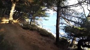 Кацивели, прогулка по территории гидрофизического института