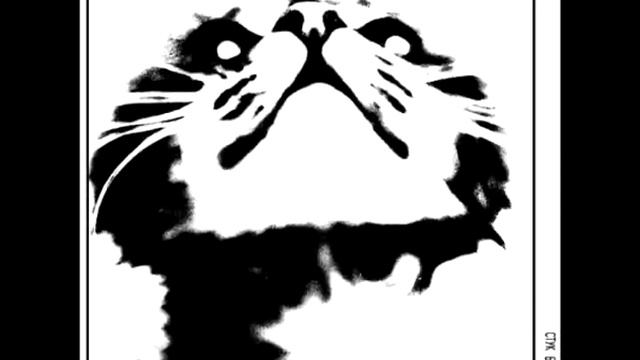 Стук Бамбука В XI Часов - Снег мёд смотреть онлайн