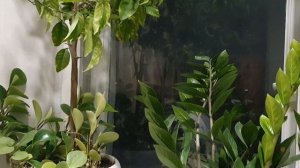 Осень, как состояние души...