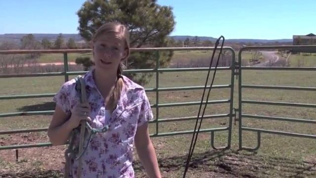 Groundwork Basics for Horses - Preview смотреть онлайн