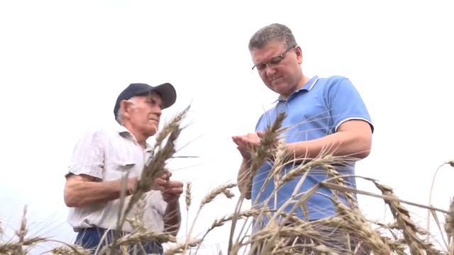 Поля Хайбуллина – во! смотреть онлайн