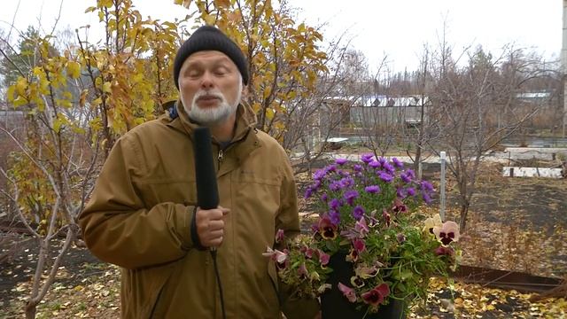 Зелёный остров Эфир: 26-10-2021 смотреть онлайн